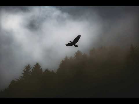 A.M. feat. Tiff Lacey - Arise (Hammer & Funabashi Remix) [2006] HQ