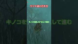【#ゼルダの伝説ティアーズオブザキングダム 】迷いの森サリヤ湖への行き方