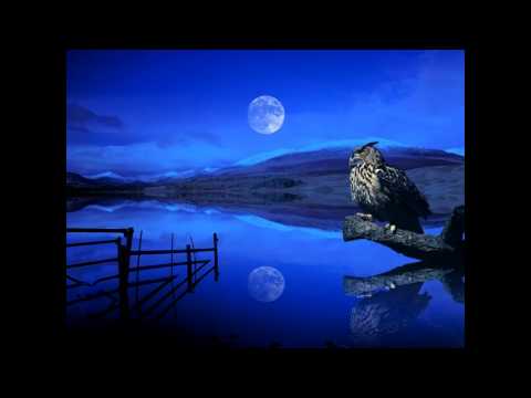 Michal Tučný - Měsíčku [mp3]