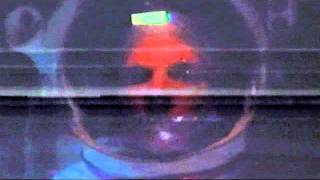 Agoraphobic Nosebleed - Someones Daughter