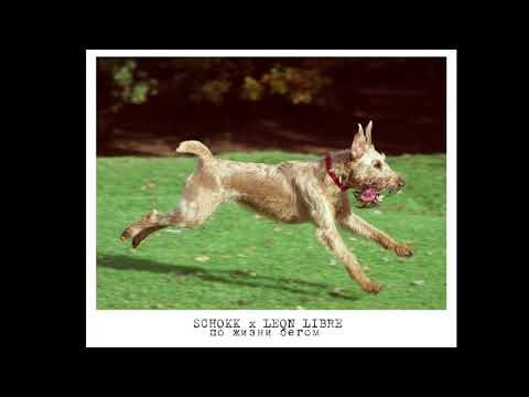 Schokk x Leon Libre - По жизни бегом (prod. by Dashevsky)