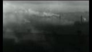 Stig Jäderberg - Shoreline