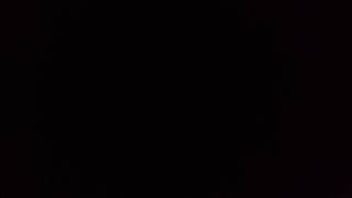 The Cowsills-The Impossible Years