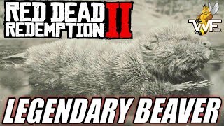 Red Dead Redemption 2 How To Find, Kill & Sell The Legendary Beaver