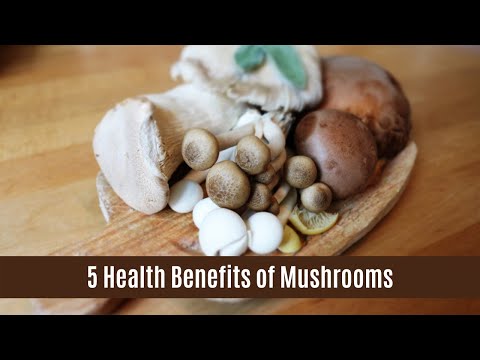 , title : '5 Health Benefits of Mushroom'