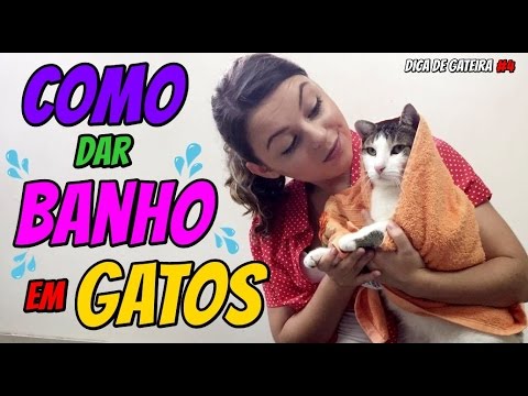 Como dar Banho no seu Gato 🚿 | DICA DE GATEIRA #4