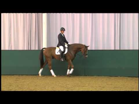 16 Botero v. Belissimo M/Feinsinn (44.NRW Elite-Auktion) www.westfalenpferde.de