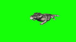 Download lagu GREENSCREEN CROCODILLE BUAYA GANAS MENYERANG mp3