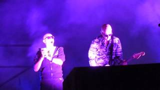 THE SISTERS OF MERCY