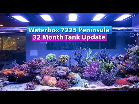 WaterBox 7225 32 Month Reef Tank Update