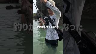 釣りに欠かせない偏光サングラス紹介 #釣り #釣り初心者 #fishing