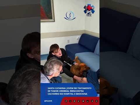 Santa Catarina: jovem em tratamento de tumor cerebral reencontra cachorro no hospital e emociona