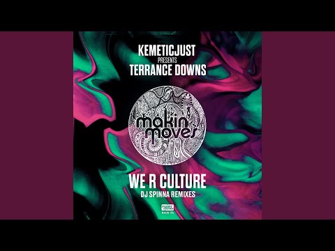 We R Culture (DJ Spinna Galactic Soul Dub Mix) (feat. Terrance Downs)
