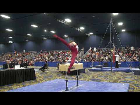 Alex Powarzynski - Pommel Horse - 2018 Winter Cup - Finals