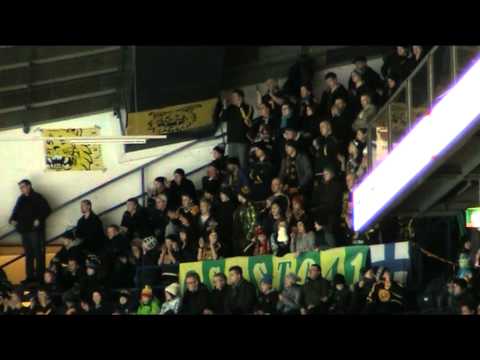 Osasto 41 — Ilves-fanit