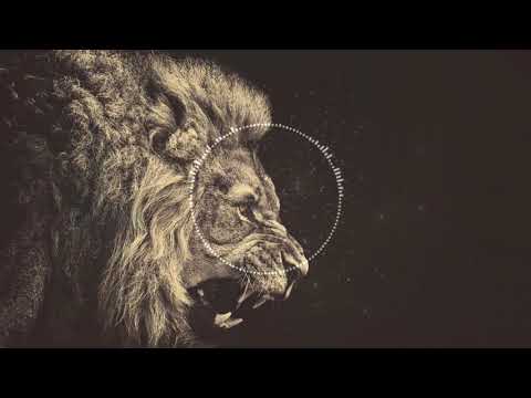 Vir De Vil - PANAMA remix moombahton