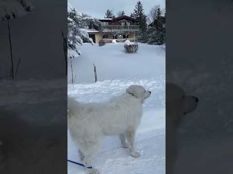 #canada #winter #trip