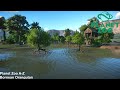 Bornean Orangutan Island Habitat Planet Zoo A Z Speedbuilds