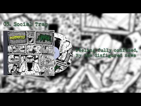 Apoptosis - Agathocles split 2017 Lyrics