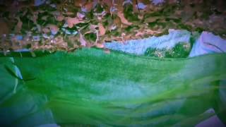 Yasmine Hamdan : Cafe