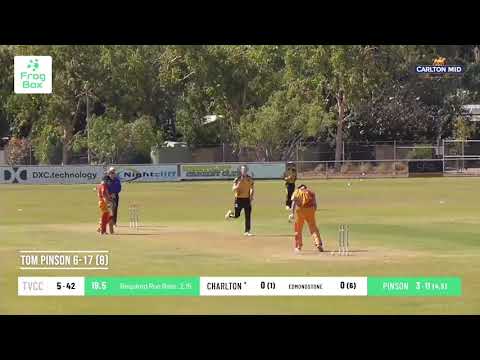 Carlton Mid Premier Grade: Round 8 - Pinson hit his straps with 6