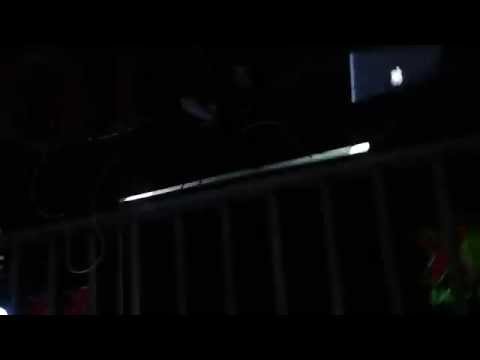 Audrey Napoleon Frogs Playa 31/12/14 - Bring Me Light