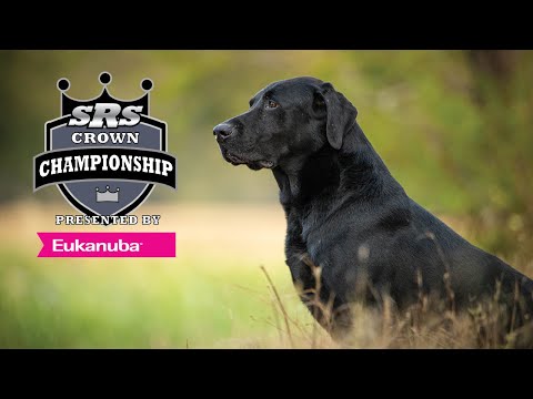 2023 SRS Crown Championship - Series 1