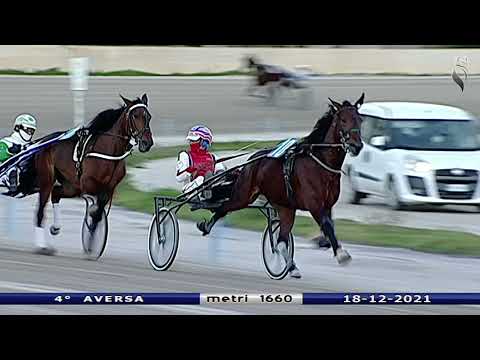 Aversa trotto 18 Dicembre 2021 - 4° Corsa