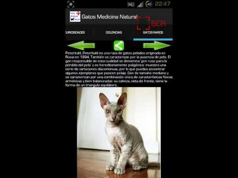 Gatos Medicina Natural Video