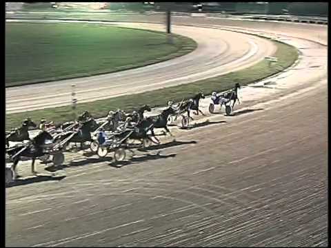 Trotto 29/01/2015 - 5° Corsa