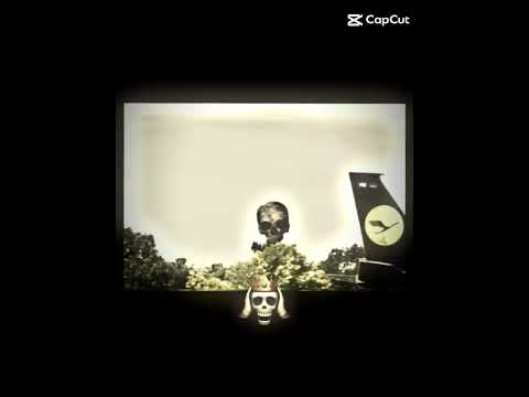 infected sky vs the flight mutationary