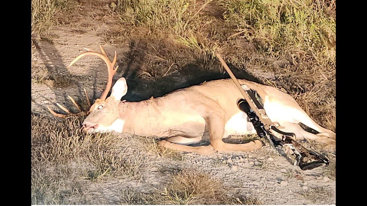 2025 Kansas Muzzleloader Buck Down