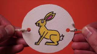 How to Make a Thaumatrope with Paper Panther