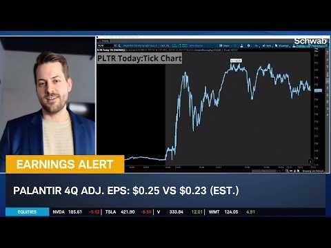 "Great" Earnings Add Muscle to PLTR, Mind Software Industry Volatility