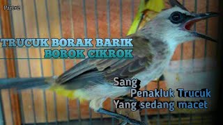 Download lagu Trucuk Borak Barik Borok Cikrok | Penakluk trucuk yang macet BUNYI mp3