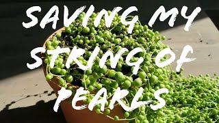 Saving My String Of Pearls