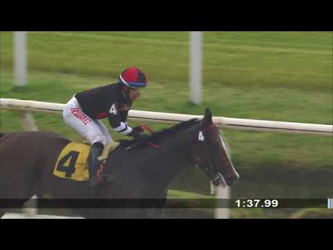 11/10/2019 – Hipodromo Maroñas – Carr 4 – AURILLAC (2014)