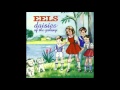 Eels - Flyswatter