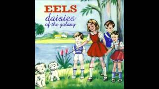 Eels - Flyswatter