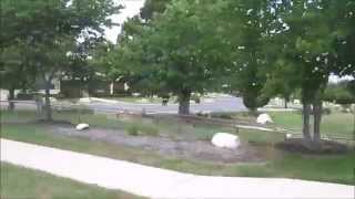 preview picture of video 'SIlver Oak Neighborhood in Cedar Park, TX'