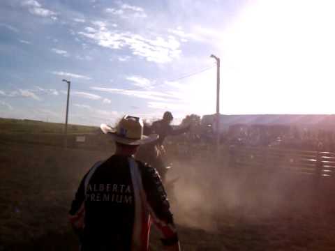 Tyler Pankewitz 81.5 points on CowBoss (OB) Airdrie CPRA Bull Riding