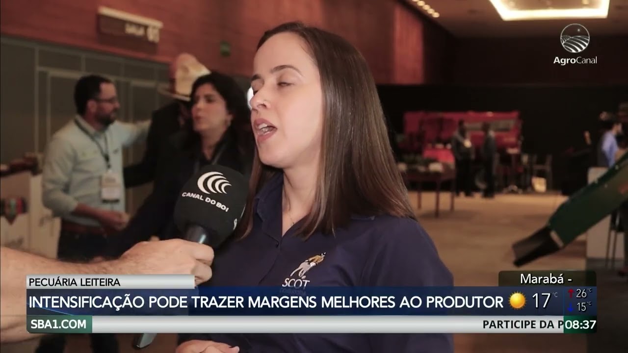 Intensificação da pecuária leiteira pode trazer margens melhores ao produtor