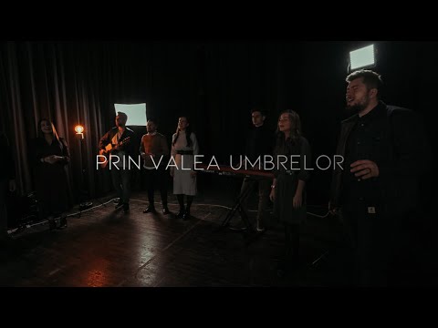 SF3 & George Ciurdas - Prin Valea Umbrelor