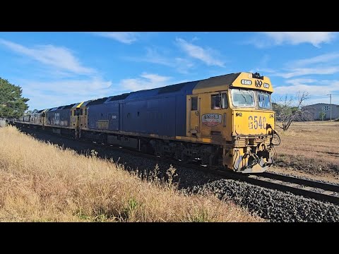 7731V PN empty grain (G540, BL33, BL31), Geelong to Murtoa, 1803, 10/11/24, Stawell VIC