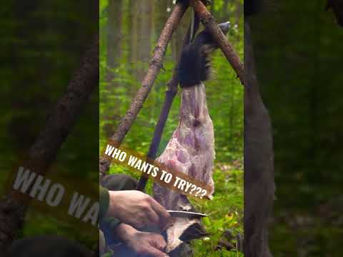 CATCH CLEAN COOK 🐗🔥 #shorts #firekitchen