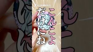 【神引き】ビジュ最強のホロライブ新グッズ「墨彩の宴」で推しの白上フブキを狙う！ #ホロライブ #hololive #白上フブキ #博衣こより #獅白ぼたん #儒烏風亭らでん #開封動画