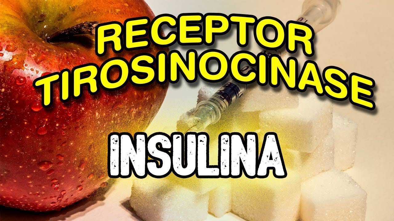 Receptor de Insulina - Receptor Tirosinacinase