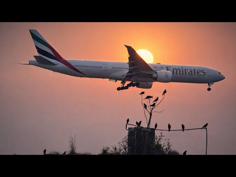 14 BIG PLANE LANDINGS - Airbus A380, Boeing 767, B787 ... (4K)  | FALIGHT LANDING TIME