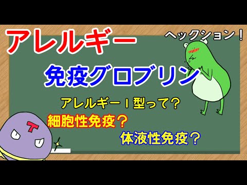 免疫グロブリンスーパーファミリーについて詳しく解説