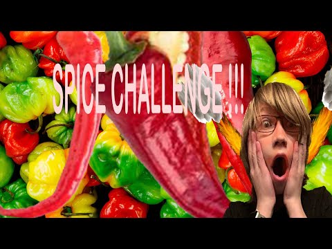 Spice test